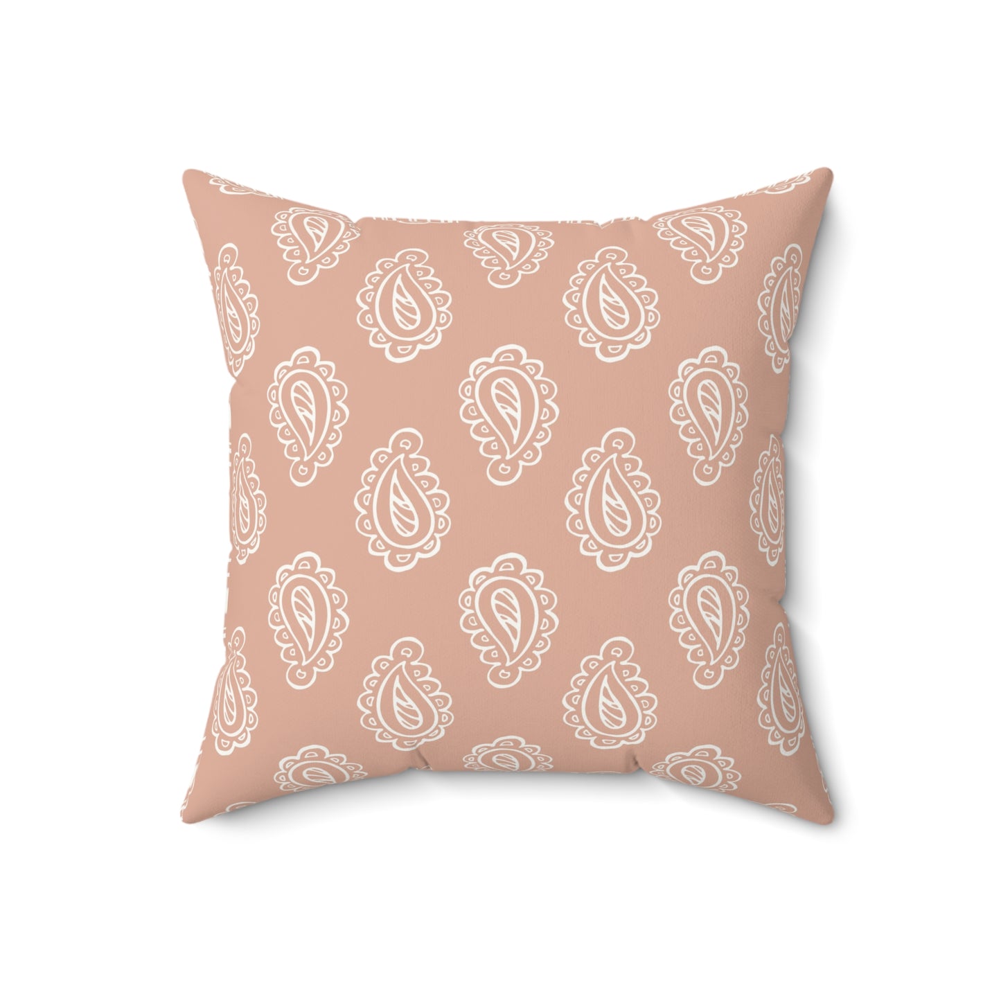 Clay Paisley decorative pillow against a plain background